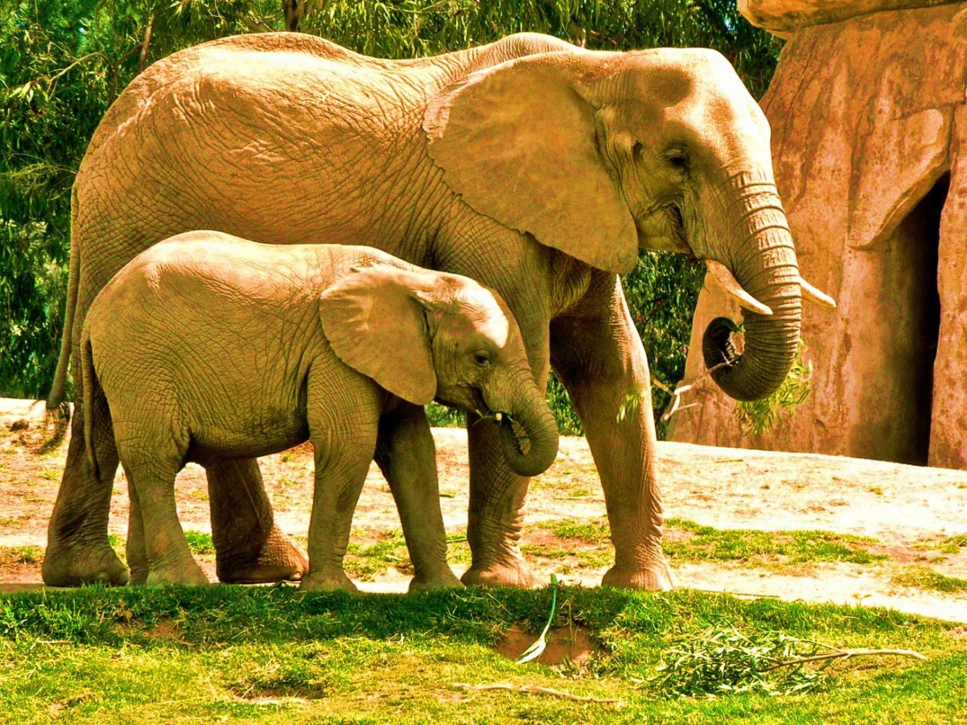 Rappresentazione visiva dell'articolo: Nudging: come orientare i clienti verso scelte consapevoli